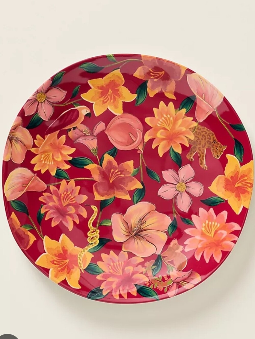 Anthropologie x Farm Rio x Melamine Dessert Plate, Set Of 2